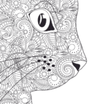 cat coloring book-ubuydigitals.com