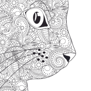 cat coloring book-ubuydigitals.com