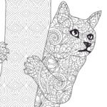 cat coloring book-ubuydigitals.com