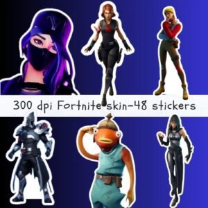 Fortnite Skin Set-ubuydigitals.com