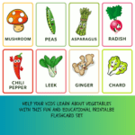 nteractive Colorful Vegetable Flashcards for Early Learners-ubuydigitals.com